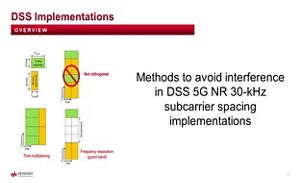DSS 實施