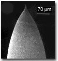 N9803A STM tips, electrochemically etched, wax coated, 10pA max leakage