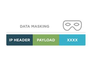  Data Masking