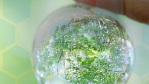 The Importance of Lossless Network Visibility